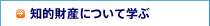 �m�I���Y�ɂ��Ċw��